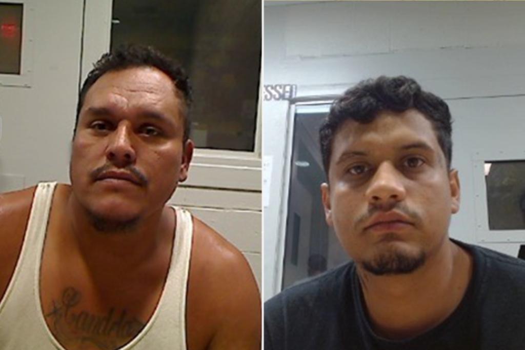 ICE captures child sex offenders and a gang member in Washington, DC due to Trump's efforts.