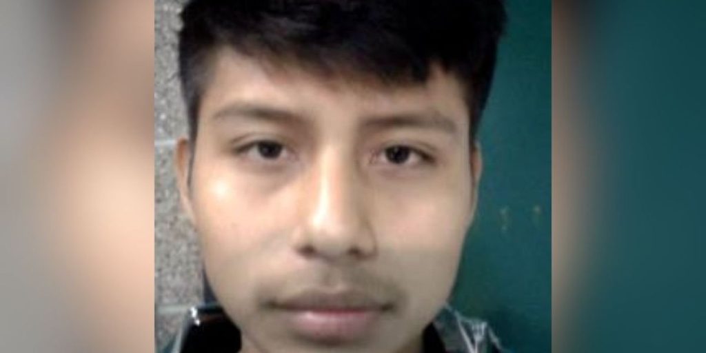 ICE focuses on undocumented individual accused of attacking a pregnant woman