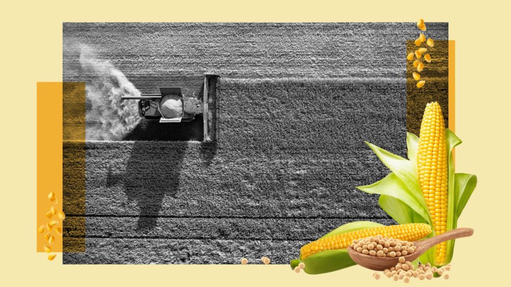 I’m investing in food because people need to eat.