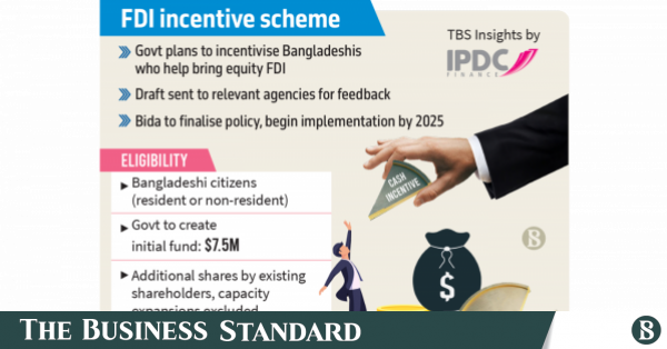 Incentives for attracting foreign investment