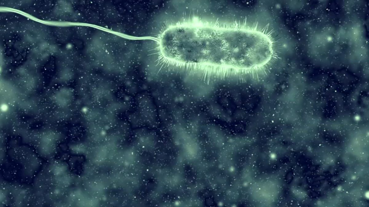 Increase in cases of Vibrio vulnificus, linked to necrotizing fasciitis, attributed to climate change, according to scientists