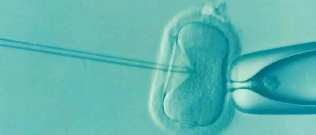 Infant Delivered From 30-Year-Old Embryo Breaks Record