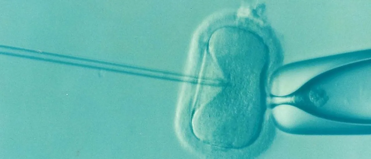 Infant Delivered From 30-Year-Old Embryo Breaks Record