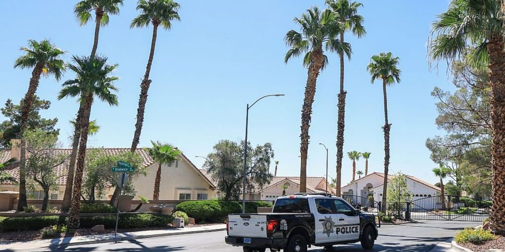 Israeli cyber chief detained in Nevada child sex crime operation