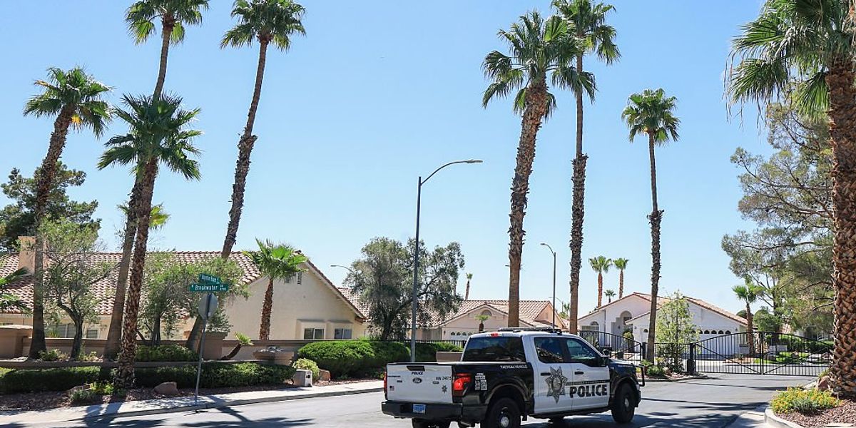 Israeli cyber chief detained in Nevada child sex crime operation