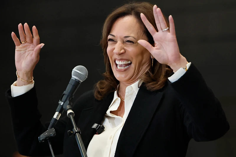 Kamala Harris criticized by Democrats after saying the 'system is broken': 'Her entire career has been the system'