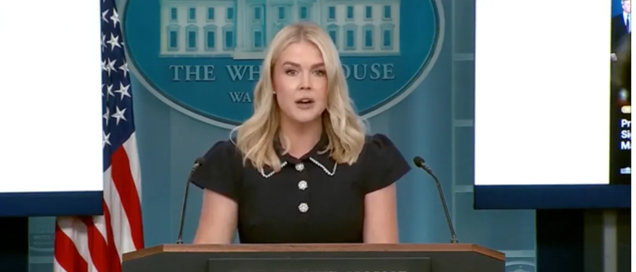 Karoline Leavitt Shares What Officers Discovered During Trump's First Night of Action in DC