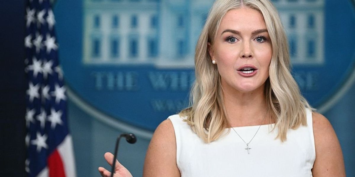 Karoline Leavitt harshly criticizes New York Times journalist: 'With all due respect'