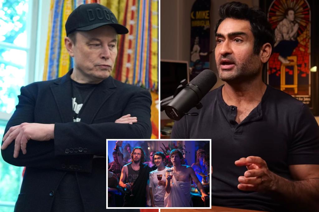 Kumail Nanjiani from 'Silicon Valley' says Elon Musk disliked the HBO satire.