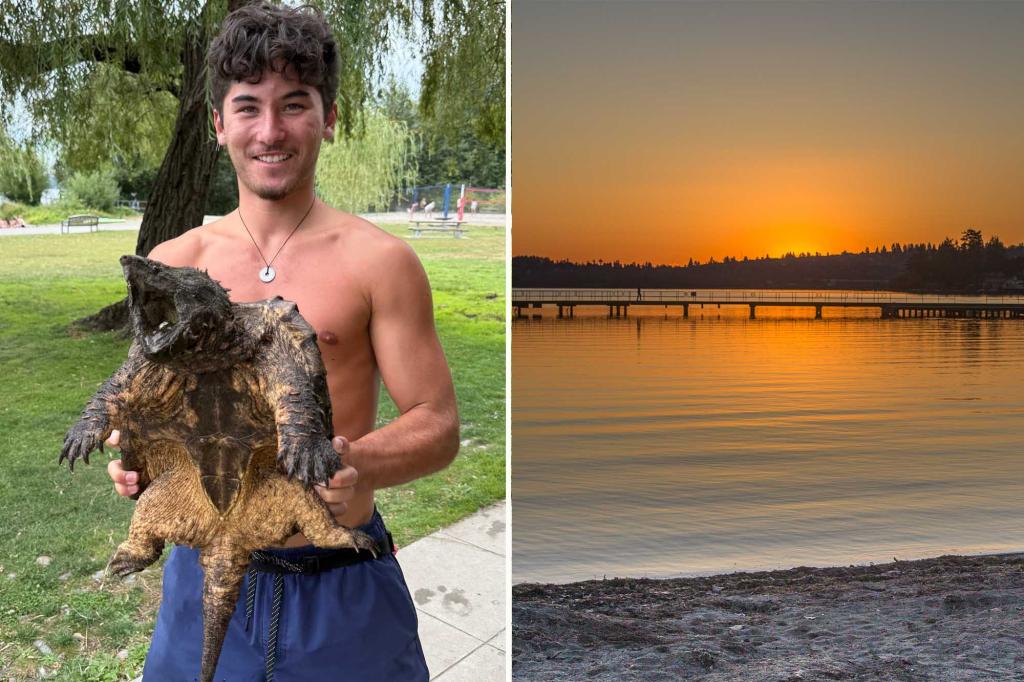 Lifeguard catches a huge 'invasive' reptile hiding in a park in Washington