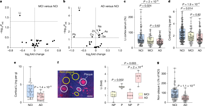 Lithium shortage and the development of Alzheimer’s disease