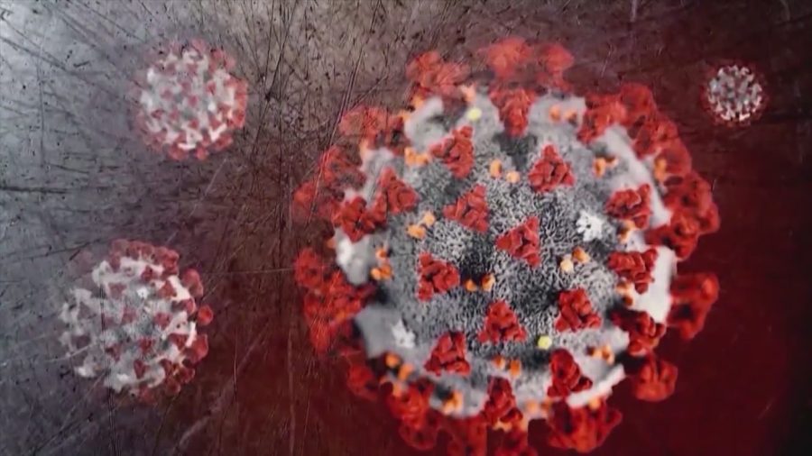 Locations experiencing the greatest surge in summer COVID-19 cases