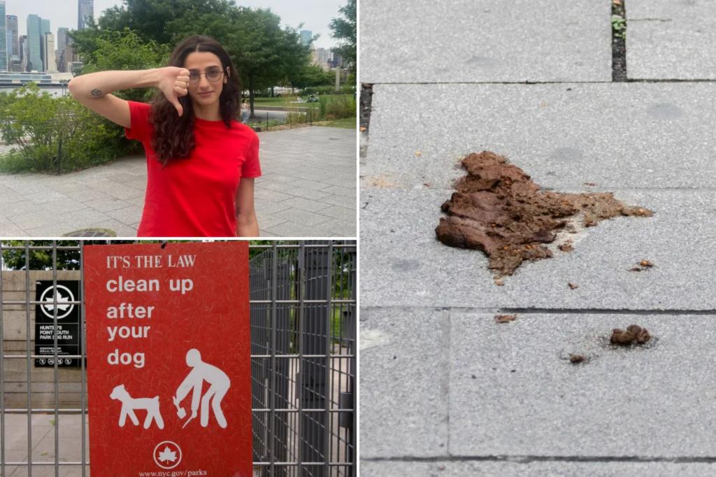 Long Island City residents criticize dog owners for not cleaning up waste on the street