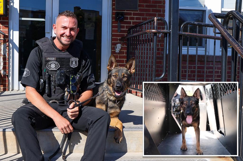 Long Island community welcomes its first K-9 officer in 30 years following a recent gang bust.