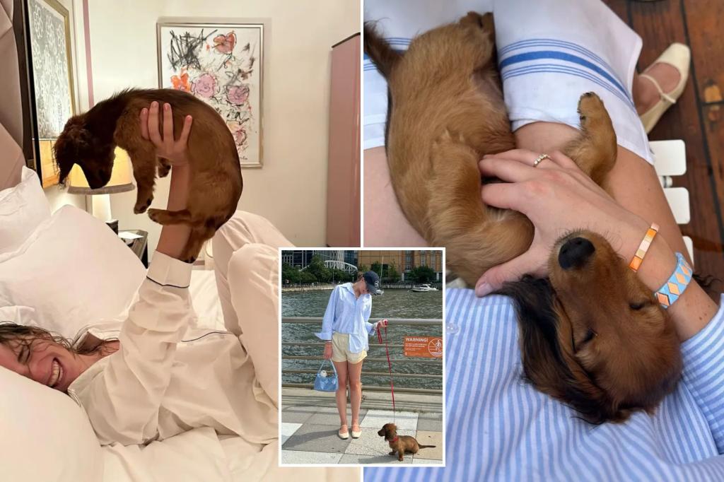 Long Island man in court battle with ex over small Dachshund
