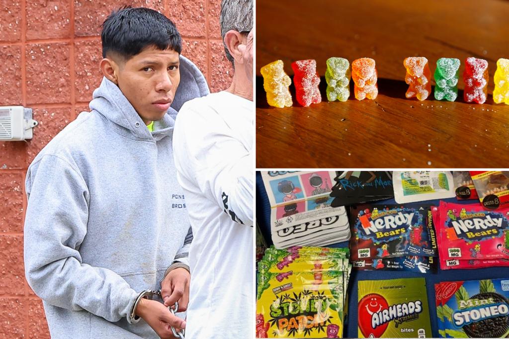 Long Island releases Guatemalan national Wilmer Castillo Garcia on his own recognizance following the THC gummies incident at a middle school.