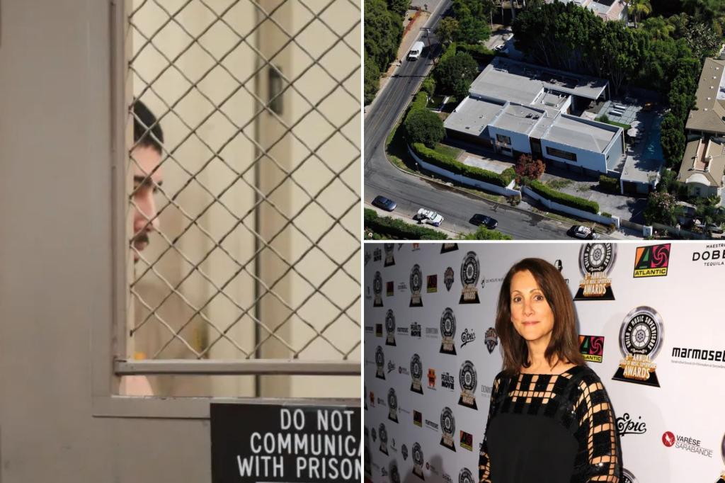 Los Angeles drug addict accused of murdering 'American Idol' executive Robin Kaye, husband to receive mental assessment