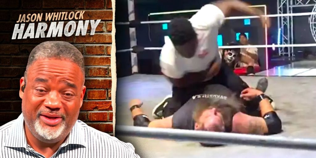 MMA fighter goes on a rampage against wrestler in viral clip