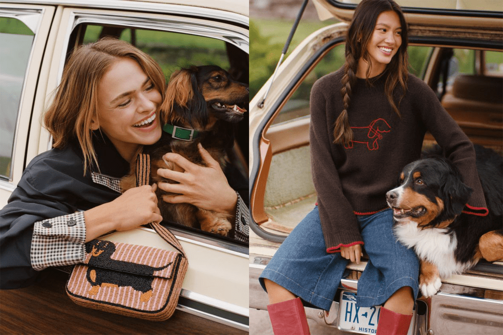 Maeve is more than an Anthro label; she has become her own brand.