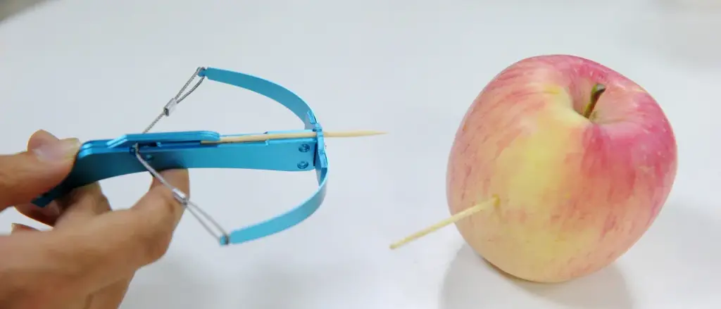 Man Remarkably Survives Two Days With Crossbow Arrow in Head