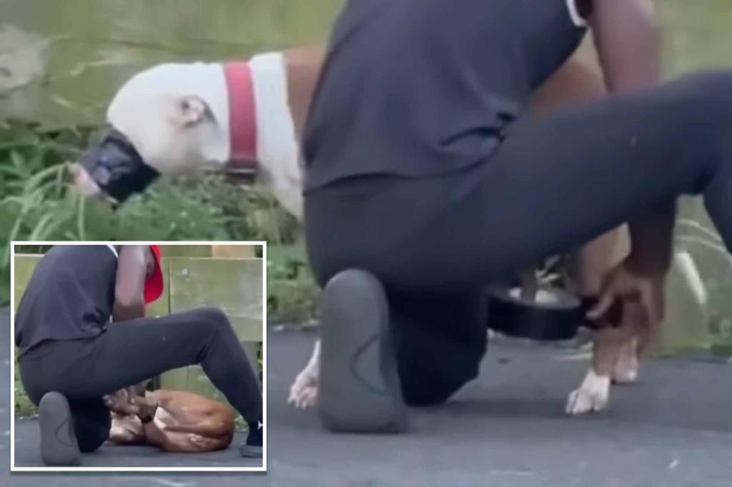Man filmed taping dog at Queens park arrested and released after court appearance