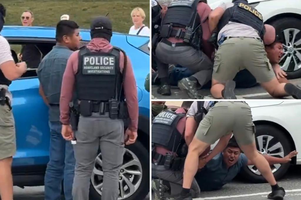 Man seen shouting while trying to escape federal agents in DC viral video had earlier arrests for child sex offenses and illegally entered the US three times.