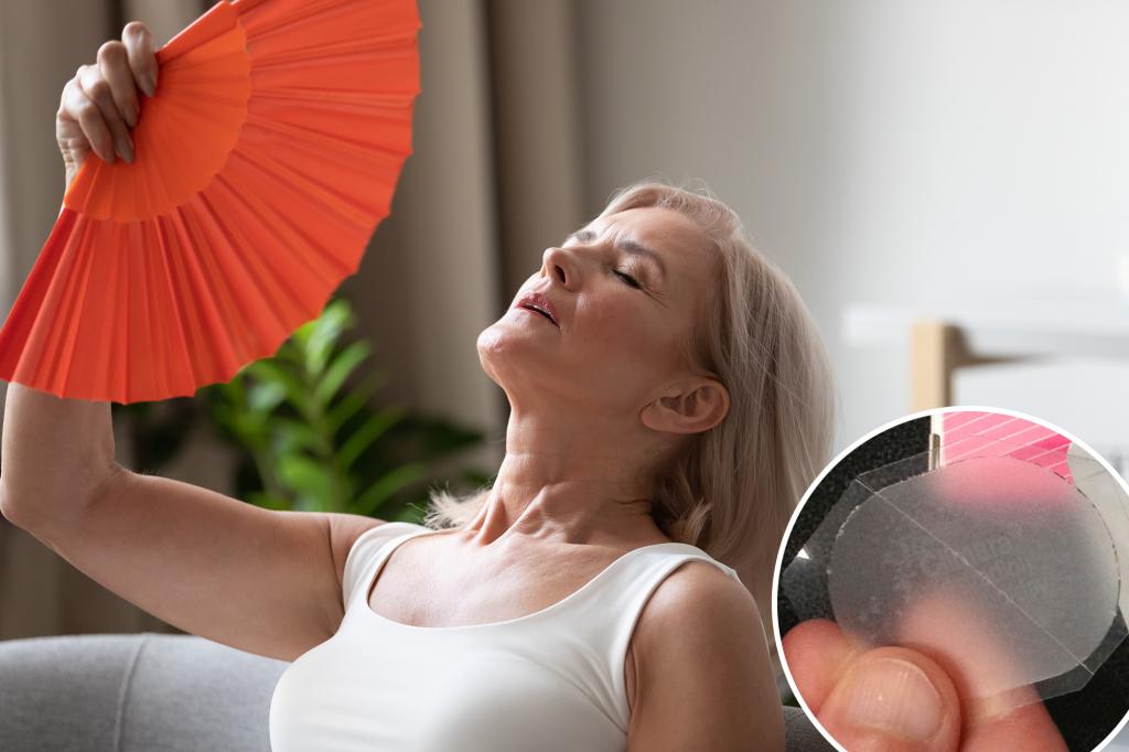 Medical professionals discuss hormone therapy for menopause.