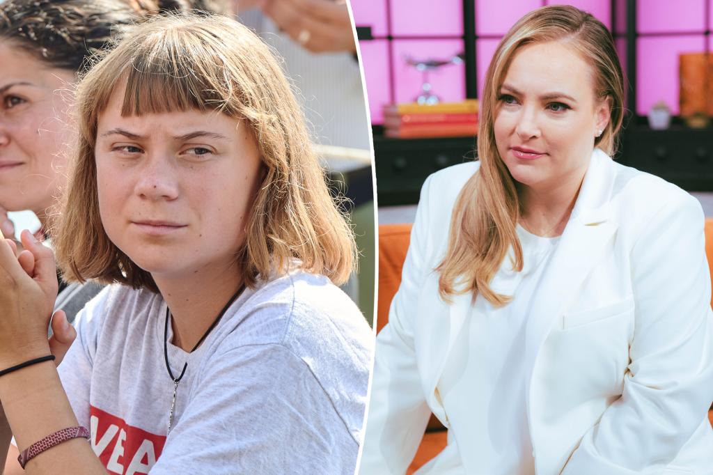 Meghan McCain criticized after insulting Greta Thunberg's 'Lord Farquaad hair'