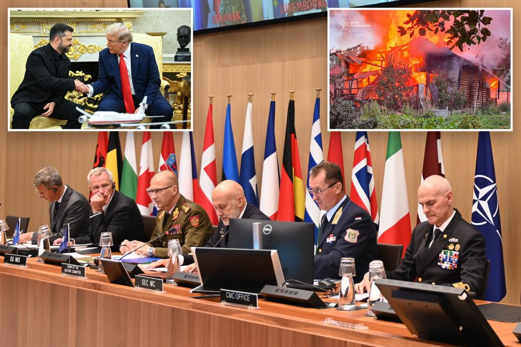 NATO defense leaders emphasize support for Ukraine and talk about security guarantees in online meeting