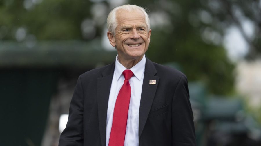 Navarro on jobs report: 'It's either a lack of ability or political meddling'