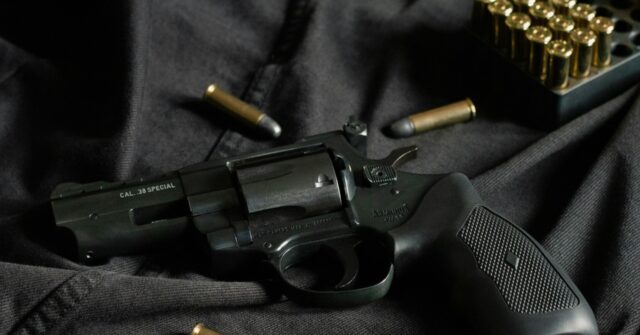 Ninth Circuit Reverses California's Limit on Buying One Gun Each Month