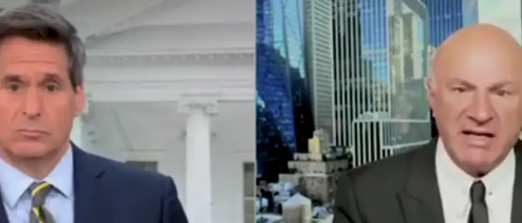 'No Free Handouts to Anyone': Kevin O'Leary Rejects Proposal for Sending Tariff Rebates to Americans