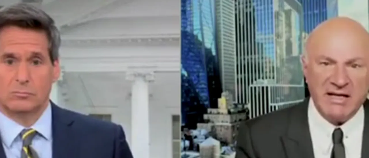 'No Free Handouts to Anyone': Kevin O'Leary Rejects Proposal for Sending Tariff Rebates to Americans