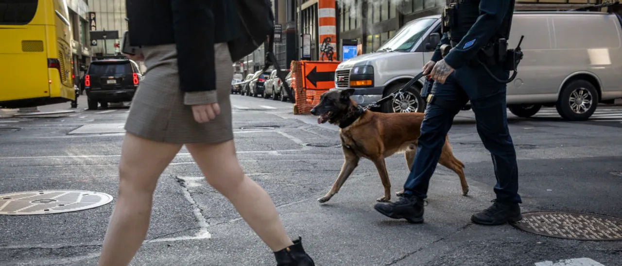 Officer Accused of Mistreating K-9 Secures New Job at Another Police Department