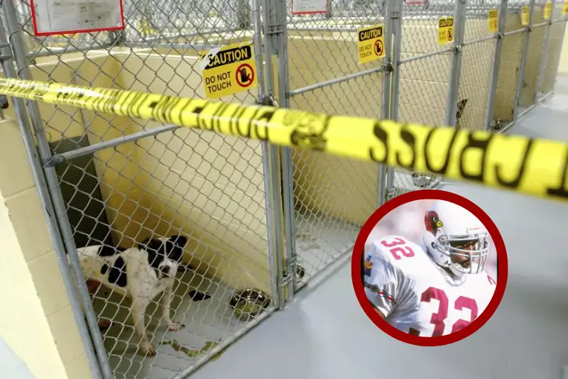 Oklahoma: Former NFL player found guilty of running a major dog fighting and trafficking operation