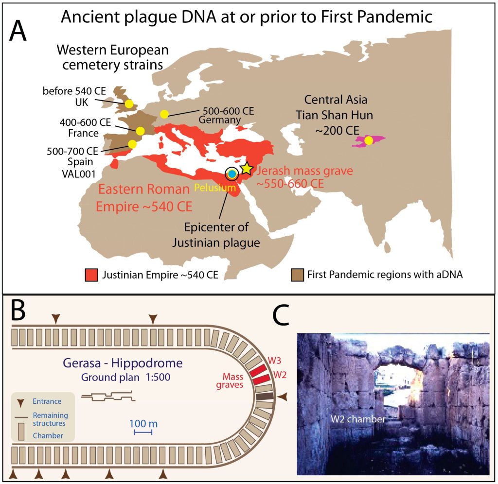 Old DNA uncovers the mystery of the Plague of Justinian, altering our understanding of pandemic history.