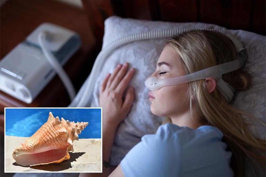 Old Indian seashell method may aid in treating sleep apnea: research