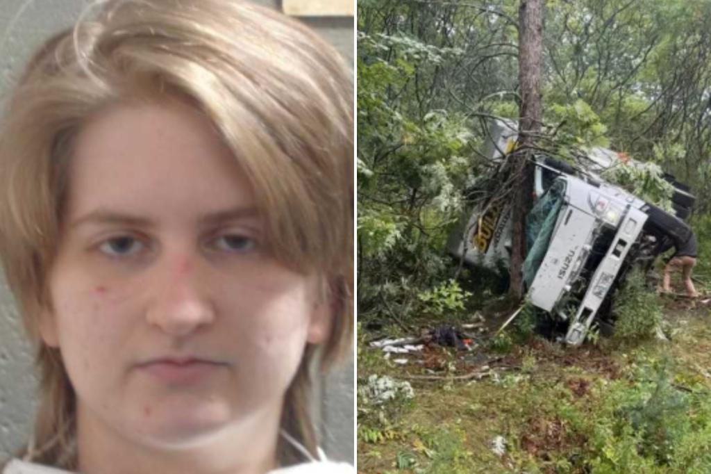 Olivia Wilkins attempted to hit Border Patrol agents assisting in the arrest of undocumented immigrants in Maine, according to DHS.