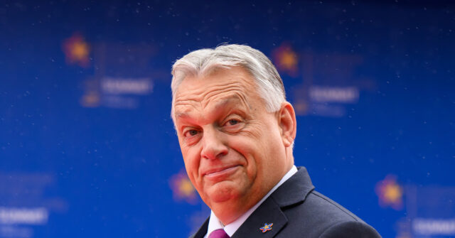 Orbán Proposes to Organize Peace Summit Between Zelensky and Putin