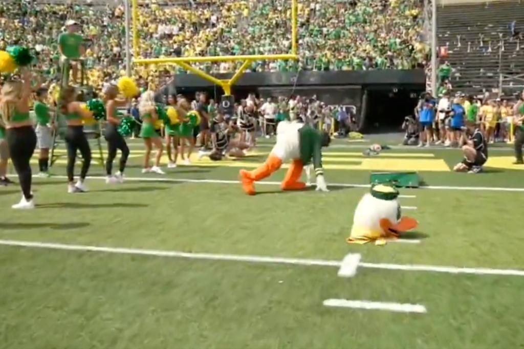 Oregon Duck comically loses its head during chaotic mascot event