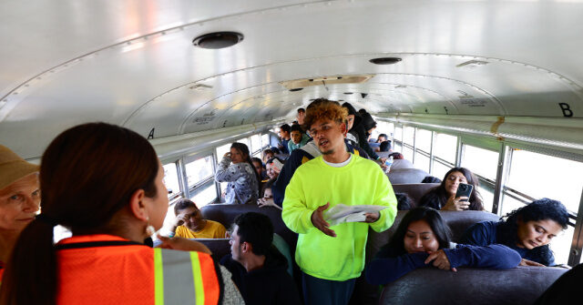 Over 600 detainees sent back from Alligator Alcatraz