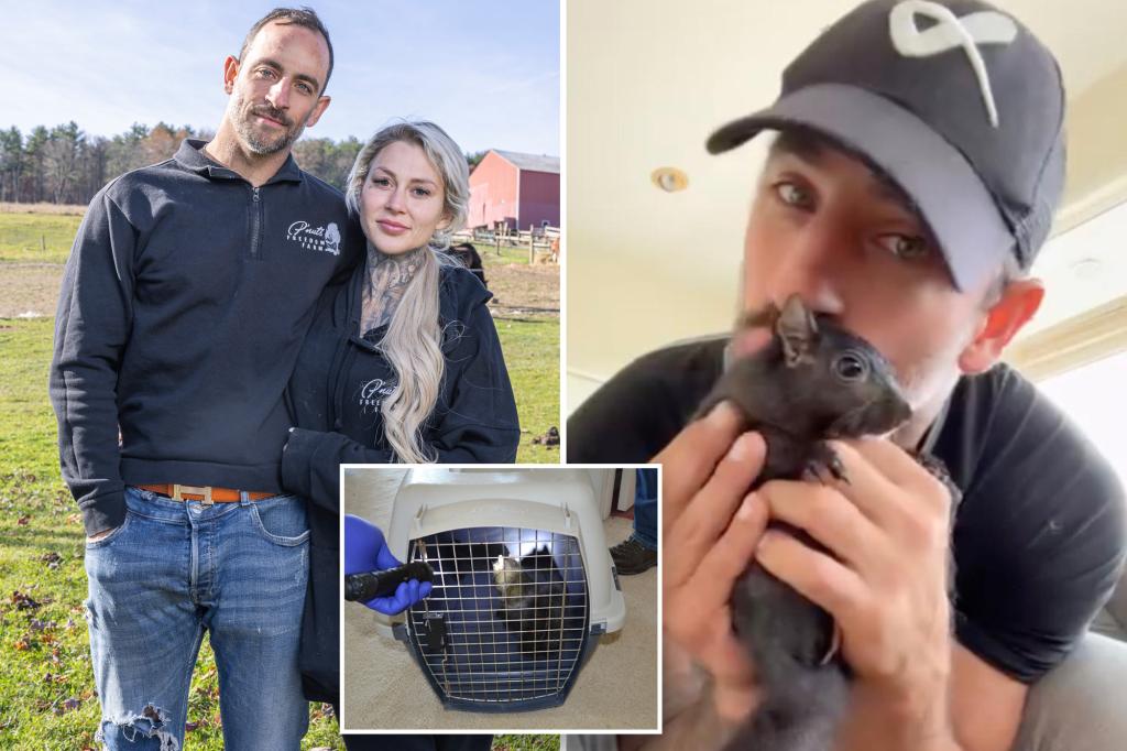 P'Nut the Squirrel's owners are seeking $10 million from New York for their pet's death.