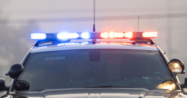 Police in Michigan Capture Fleeing Stolen Vehicle Using 'Grappler' Tool, Leading to Three Arrests