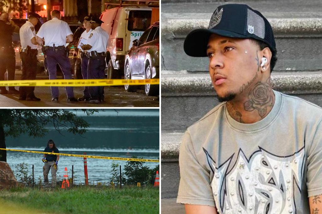 Potential connection between moped thief migrant shot by NYC officer and border agent shooting