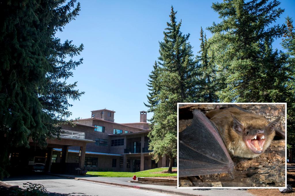 Potential rabies risk from cabins with bat infestations at Grand Teton National Park