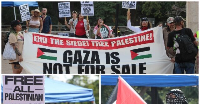 Pro-Hamas Demonstration by Socialist Party in San Antonio Doesn't Attract Attendance