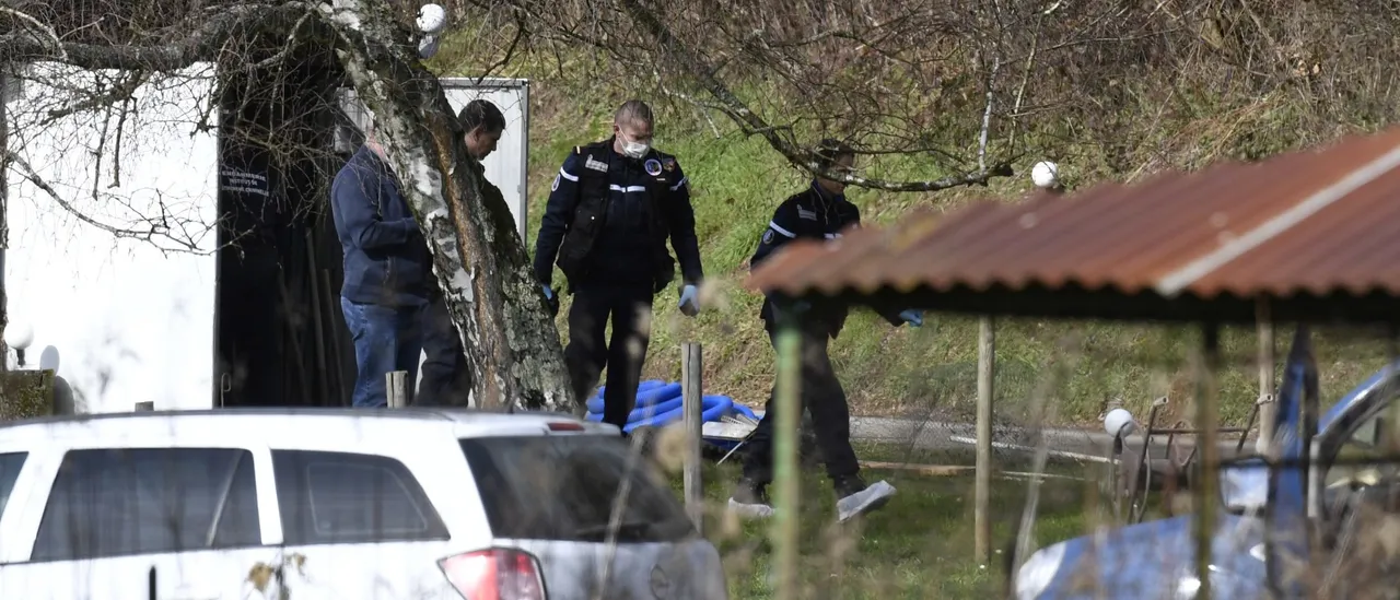 Prosecutors File Charges Against Two Following Discovery of 21 Dead Dogs at Boarding Facility