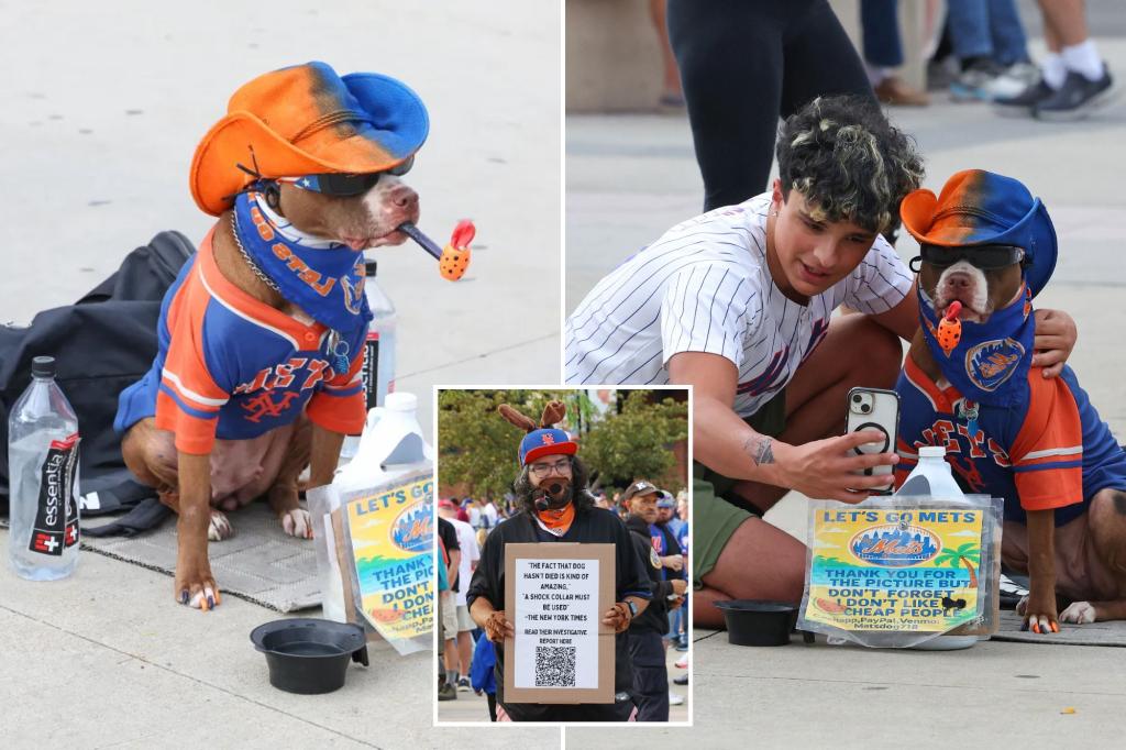 Protesters express renewed anger over claims of mistreatment of the pipe-smoking Mets dog