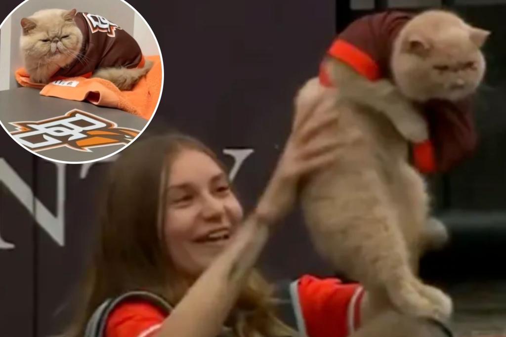 Pudge the Cat from Bowling Green emerges as an unexpected star in college football