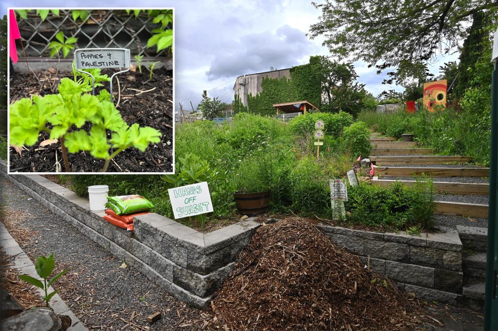 Queens community garden operators opposing Israel issued a vacate order by NYC Parks Department.